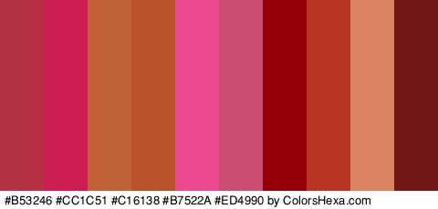 #B53246 #CC1C51 #C16138 #B7522A #ED4990 #CC4D71 #930106 #B73422 #DB8462 #701615 Colors Logo