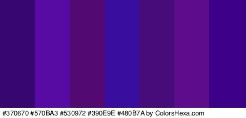 #370670 #570BA3 #530972 #390E9E #480B7A #5D0C8C #3D0089 Colors Logo