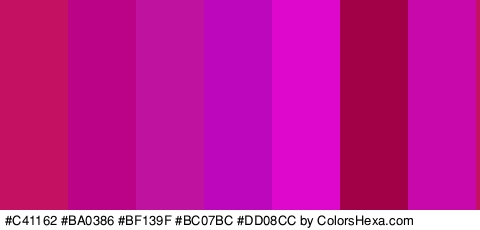 #C41162 #BA0386 #BF139F #BC07BC #DD08CC #A30147 #C908AC Colors Logo