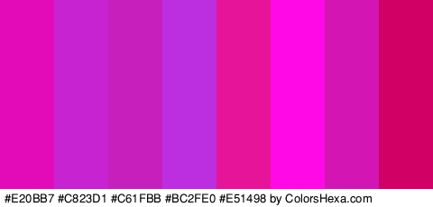 #E20BB7 #C823D1 #C61FBB #BC2FE0 #E51498 #FF0AE6 #D315B3 #D10065 Colors Logo