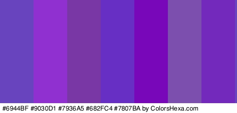 #6944BF #9030D1 #7936A5 #682FC4 #7807BA #7C4EAD #7329BC Colors Logo