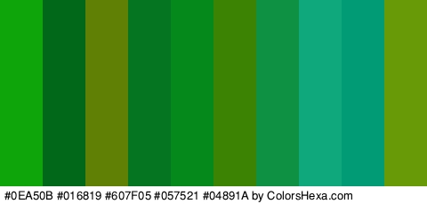 #0EA50B #016819 #607F05 #057521 #04891A #3C8203 #0E9142 #0FA87C #019B75 #689906 Colors Logo