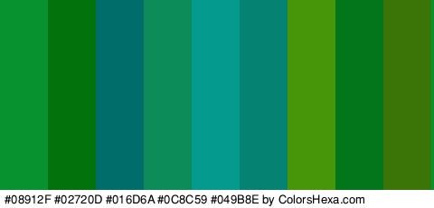 #08912F #02720D #016D6A #0C8C59 #049B8E #058271 #47960A #03751A #3C7507 Colors Logo