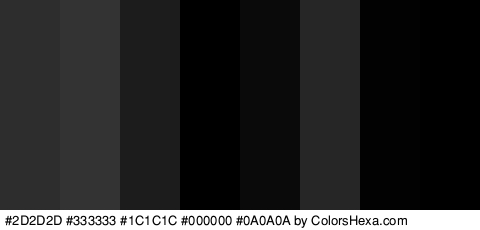 #2D2D2D #333333 #1C1C1C #000000 #0A0A0A #262626 #020202 #000000 Colors Logo