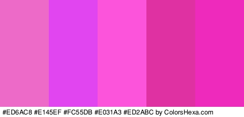 #ED6AC8 #E145EF #FC55DB #E031A3 #ED2ABC Colors Logo