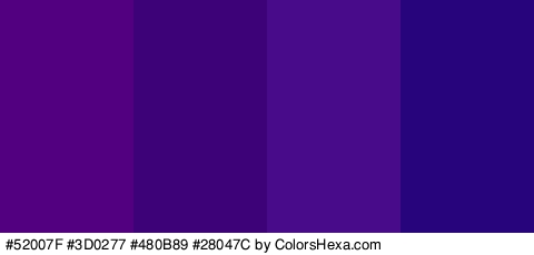 #52007F #3D0277 #480B89 #28047C Colors Logo