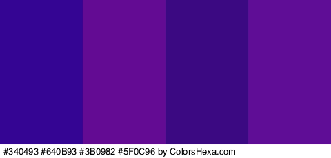 #340493 #640B93 #3B0982 #5F0C96 Colors Logo
