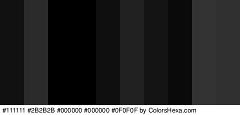 #111111 #2B2B2B #000000 #000000 #0F0F0F #212121 #141414 #0A0A0A #333333 #303030 Colors Logo