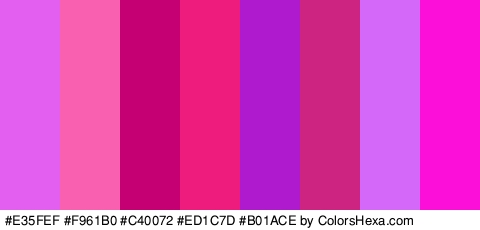 #E35FEF #F961B0 #C40072 #ED1C7D #B01ACE #CC2480 #D368F9 #FC0FD8 Colors Logo