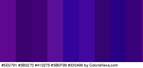 #5E0791 #3B0270 #410275 #5B0F99 #330499 #43069E #340572 #270084 #3A027A Colors Logo