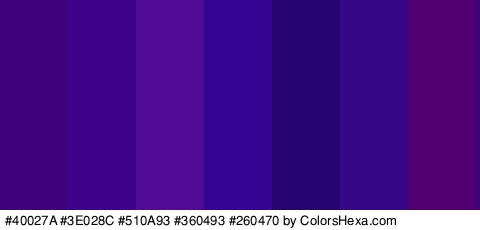 #40027A #3E028C #510A93 #360493 #260470 #360887 #500072 Colors Logo