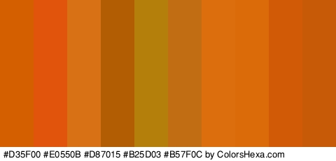 #D35F00 #E0550B #D87015 #B25D03 #B57F0C #C16D13 #DD6E0D #DB6B08 #D15A06 #C65A07 Colors Logo