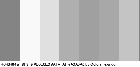 #848484 #F9F9F9 #E0E0E0 #AFAFAF #A0A0A0 #A8A8A8 #C4C4C4 Colors Logo