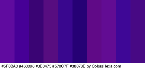 #5F0BA0 #460096 #3B0475 #570C7F #38078E #250175 #610A87 #620B93 #3E0796 #480984 Colors Logo