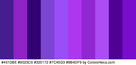 #451D8E #9023C6 #320172 #7C45D3 #9B4DF9 #AC37EF #9027D1 #AA4DF2 #4F0193 #7A0CCE Colors Logo