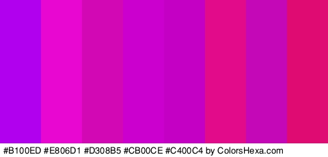 #B100ED #E806D1 #D308B5 #CB00CE #C400C4 #E20B89 #C407B7 #E00B72 Colors Logo