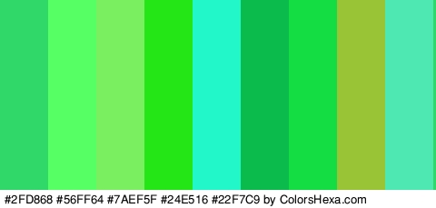 #2FD868 #56FF64 #7AEF5F #24E516 #22F7C9 #0BBC4C #13DD43 #99C435 #4EE8B2 Colors Logo