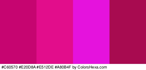 #C60570 #E20D8A #E512DE #A80B4F Colors Logo