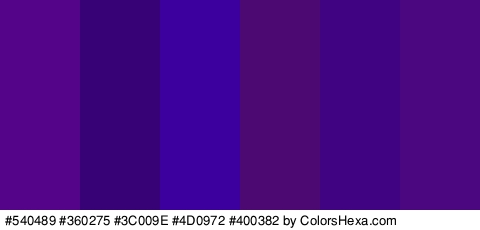 #540489 #360275 #3C009E #4D0972 #400382 #4B077F Colors Logo