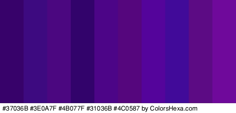 #37036B #3E0A7F #4B077F #31036B #4C0587 #55067C #55049B #410A99 #5C0B84 #6F099B Colors Logo