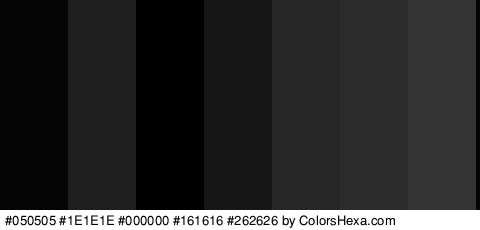 #050505 #1E1E1E #000000 #161616 #262626 #2B2B2B #333333 Colors Logo