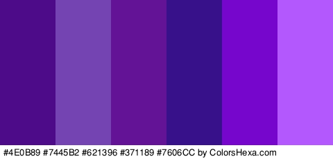 #4E0B89 #7445B2 #621396 #371189 #7606CC #B258FC Colors Logo