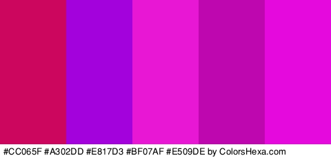 #CC065F #A302DD #E817D3 #BF07AF #E509DE Colors Logo