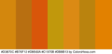 #D3870C #B76F12 #D8560A #C1970B #DB8B13 #BA830D #E28000 Colors Logo