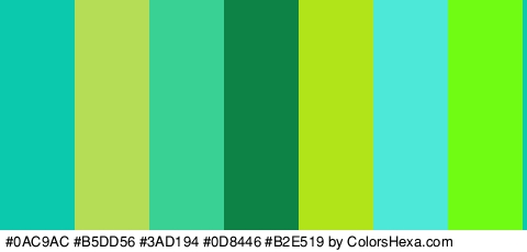 #0AC9AC #B5DD56 #3AD194 #0D8446 #B2E519 #4EE8D8 #71FC14 Colors Logo