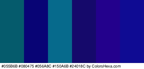 #055B6B #080475 #056A8C #150A6B #24018C #100B93 Colors Logo