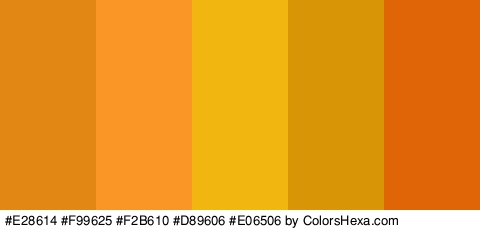 #E28614 #F99625 #F2B610 #D89606 #E06506 Colors Logo