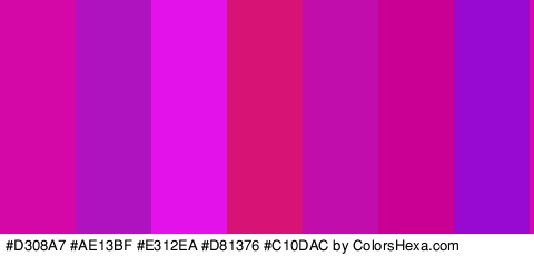 #D308A7 #AE13BF #E312EA #D81376 #C10DAC #C90093 #980AD1 Colors Logo