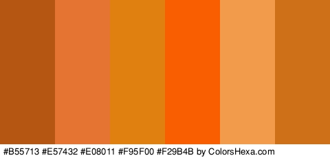 #B55713 #E57432 #E08011 #F95F00 #F29B4B #CE7018 Colors Logo