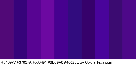 #510977 #37037A #560491 #6B09A0 #46028E #310C7F #37016B #48049B #3B0B72 #4D0889 Colors Logo