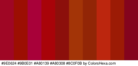 #9E0624 #9B0E01 #A80139 #A80308 #8C0F0B #A33408 #932507 #BC260F #9B1B04 #84031D Colors Logo