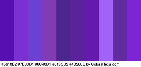 #5610B2 #7B30D1 #6C40D1 #813CB2 #4B268E #5A2399 #631AAD #A062F7 #612CA0 #7D24D6 Colors Logo