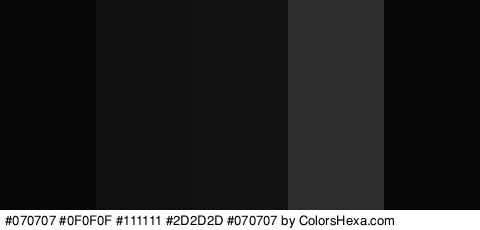 #070707 #0F0F0F #111111 #2D2D2D #070707 Colors Logo