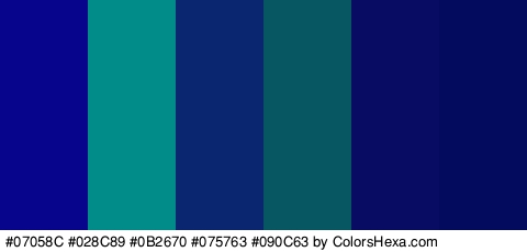 #07058C #028C89 #0B2670 #075763 #090C63 #020B5E Colors Logo