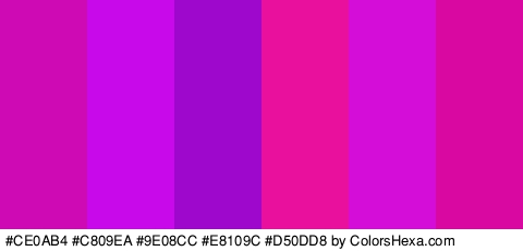 #CE0AB4 #C809EA #9E08CC #E8109C #D50DD8 #D808A1 Colors Logo