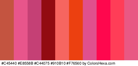 #C45440 #E8558B #C44075 #910B10 #F76560 #ED4010 #E0508C #FF074D #FF3D57 #E85883 Colors Logo