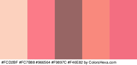 #FCD2BF #FC7B88 #966564 #F9897C #F46E82 Colors Logo