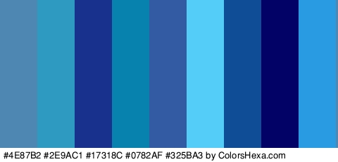 #4E87B2 #2E9AC1 #17318C #0782AF #325BA3 #54CDF9 #0F4E96 #020166 #289BE2 Colors Logo