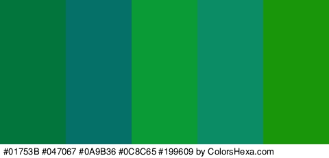 #01753B #047067 #0A9B36 #0C8C65 #199609 Colors Logo
