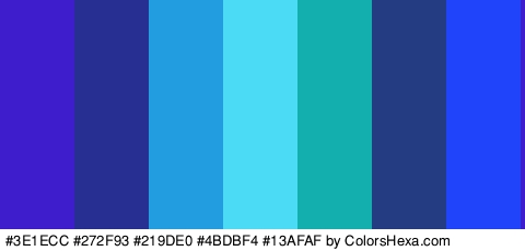#3E1ECC #272F93 #219DE0 #4BDBF4 #13AFAF #243D82 #2044F9 Colors Logo