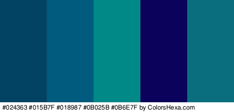 #024363 #015B7F #018987 #0B025B #0B6E7F Colors Logo