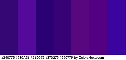 #340775 #530A9B #2B0072 #370275 #59077F #540082 #3C049E Colors Logo