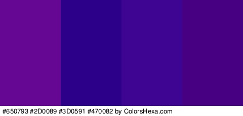 #650793 #2D0089 #3D0591 #470082 Colors Logo