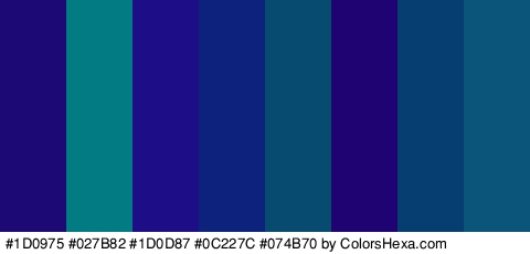 #1D0975 #027B82 #1D0D87 #0C227C #074B70 #1F0372 #063E72 #0B557A Colors Logo