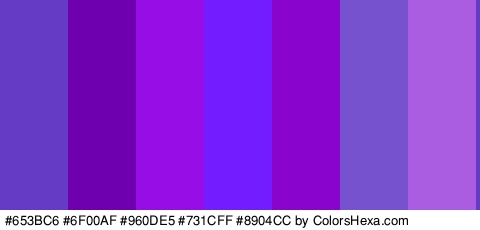 #653BC6 #6F00AF #960DE5 #731CFF #8904CC #7752CE #AB5DE2 Colors Logo
