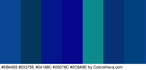 #0B4693 #03375E #04168C #05078C #0C8A8E #073175 #00417F Colors Logo